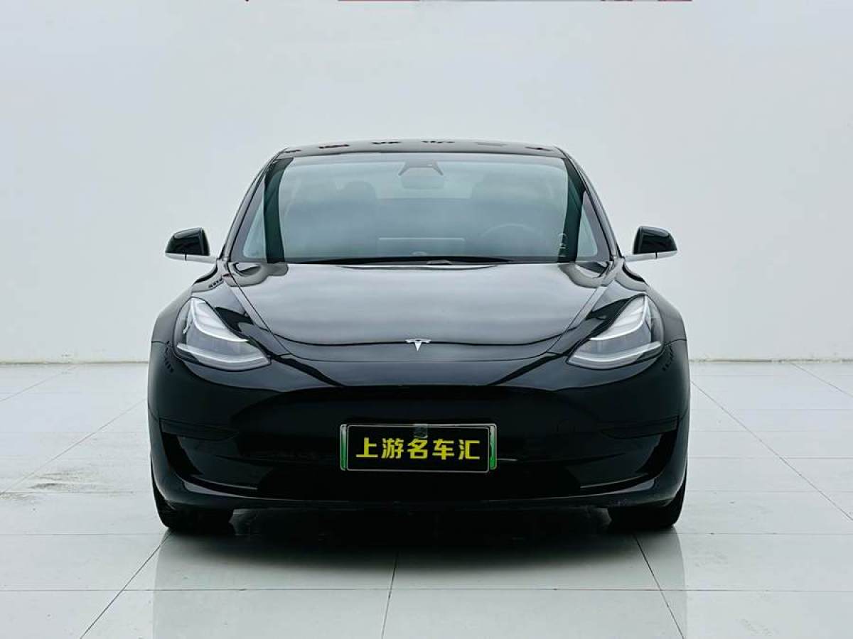 特斯拉 Model 3  2020款 改款 標(biāo)準(zhǔn)續(xù)航后驅(qū)升級版圖片