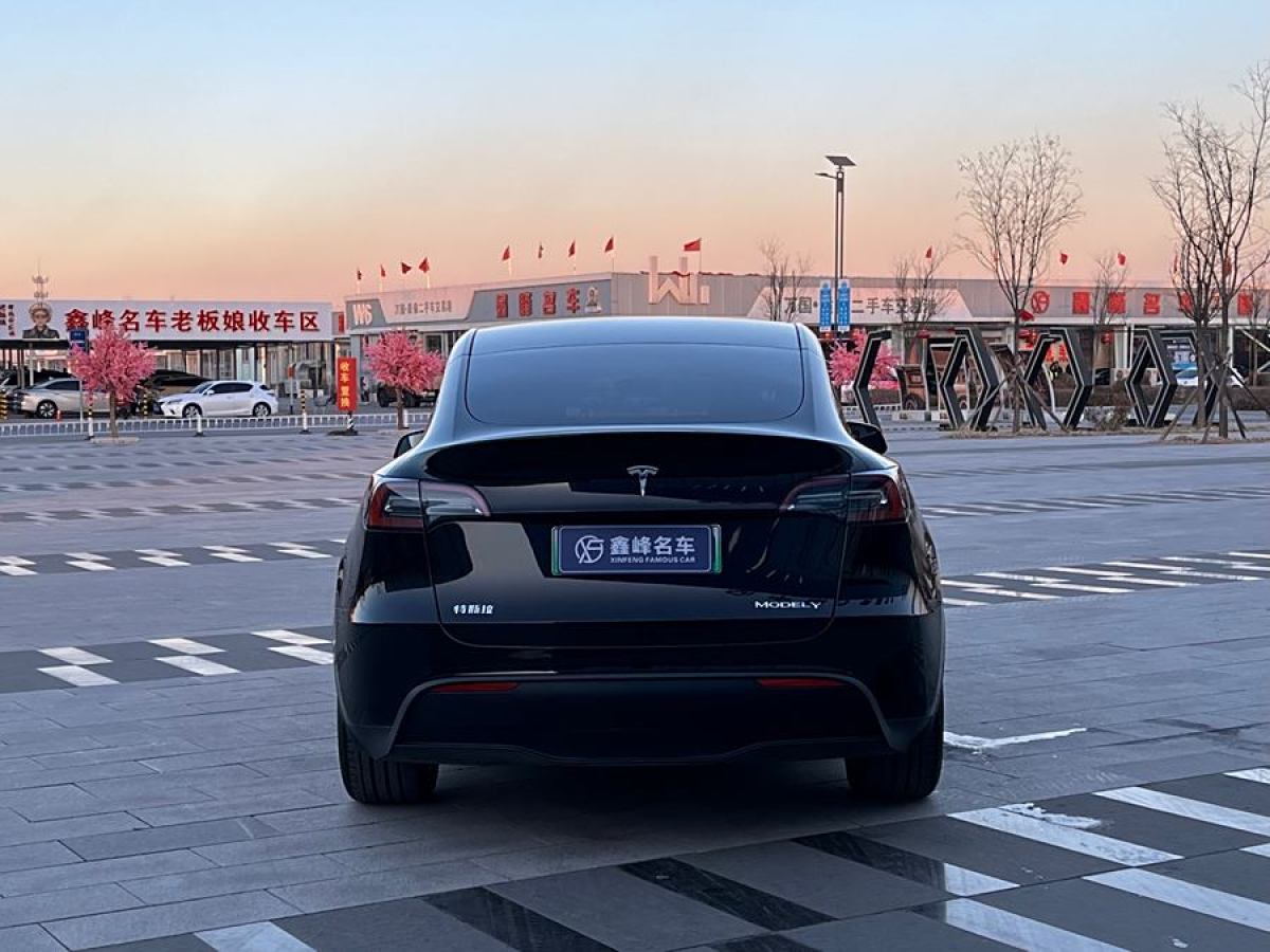 特斯拉 Model 3  2021款 改款 標(biāo)準(zhǔn)續(xù)航后驅(qū)升級(jí)版圖片