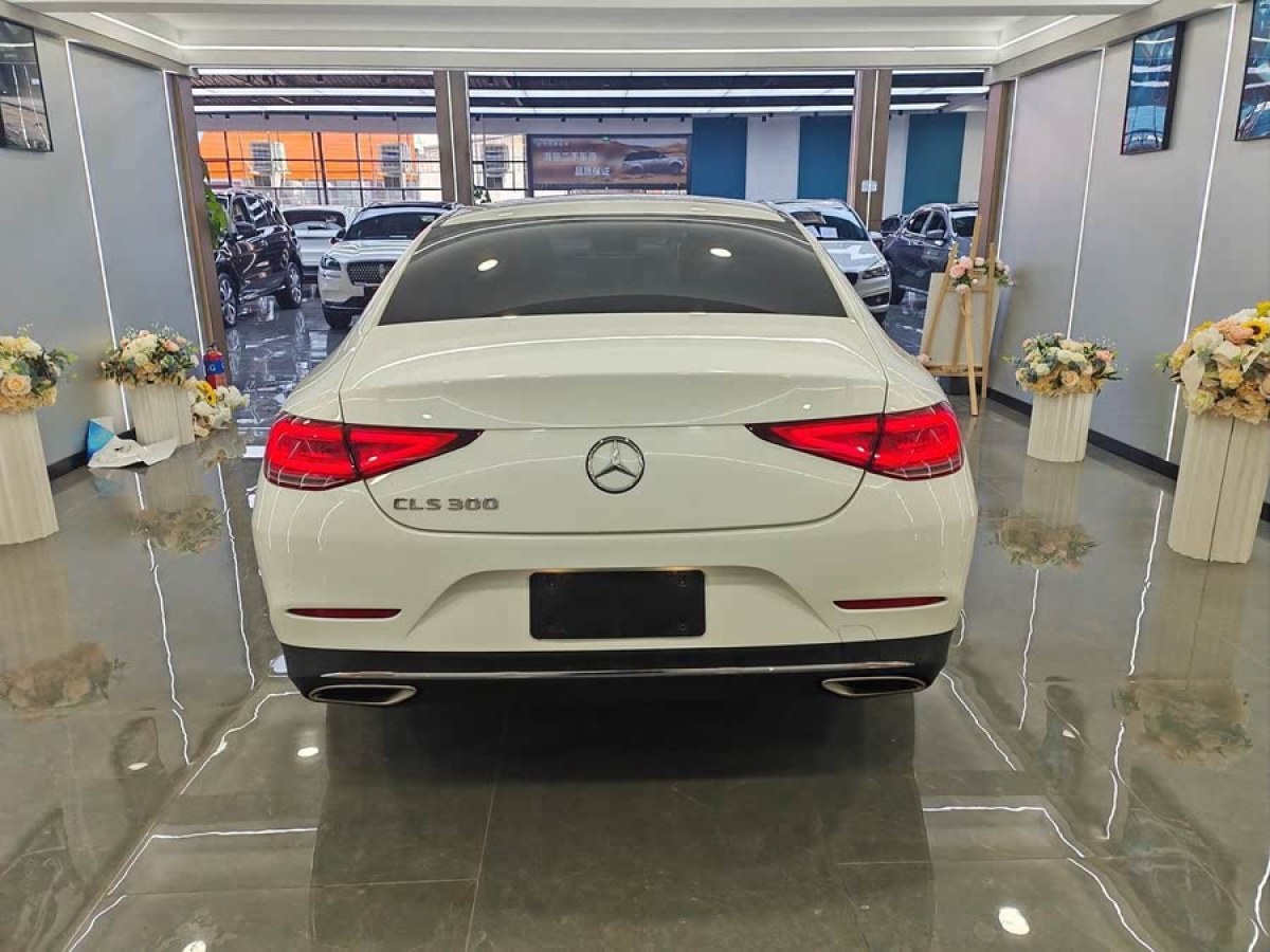 奔馳 奔馳CLS級(jí)  2018款 CLS 300 動(dòng)感型圖片