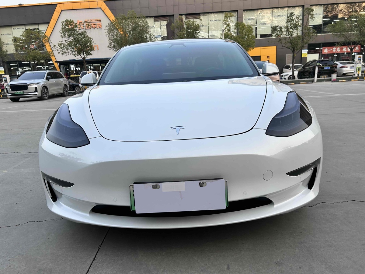 特斯拉 Model 3  2020款 改款 長續(xù)航后輪驅(qū)動版圖片