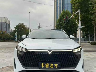 2023年1月 啟辰 啟辰大V DD-i超混動(dòng) 110km iE版圖片