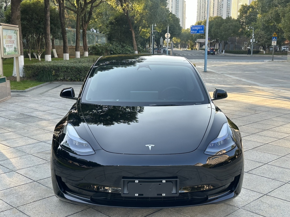 特斯拉 Model 3  2022款 后輪驅(qū)動版圖片