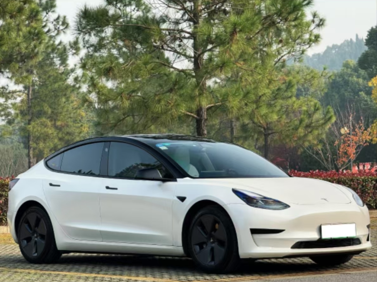 特斯拉 Model 3  2021款 標(biāo)準(zhǔn)續(xù)航后驅(qū)升級版 3D6圖片