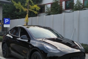 Model Y 特斯拉 焕新版 后轮驱动