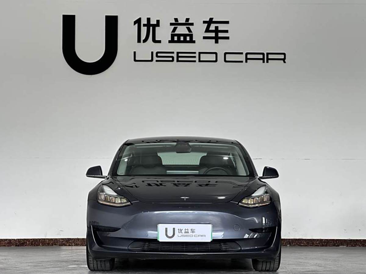 特斯拉 Model 3  2019款 長續(xù)航后驅(qū)版圖片