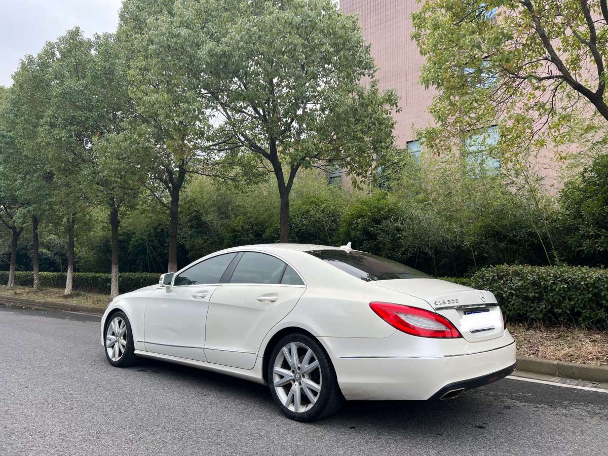 奔驰 奔驰cls级 2012款 cls 300 cgi图片