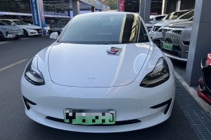 Model 3 特斯拉 标准续航后驱升级版