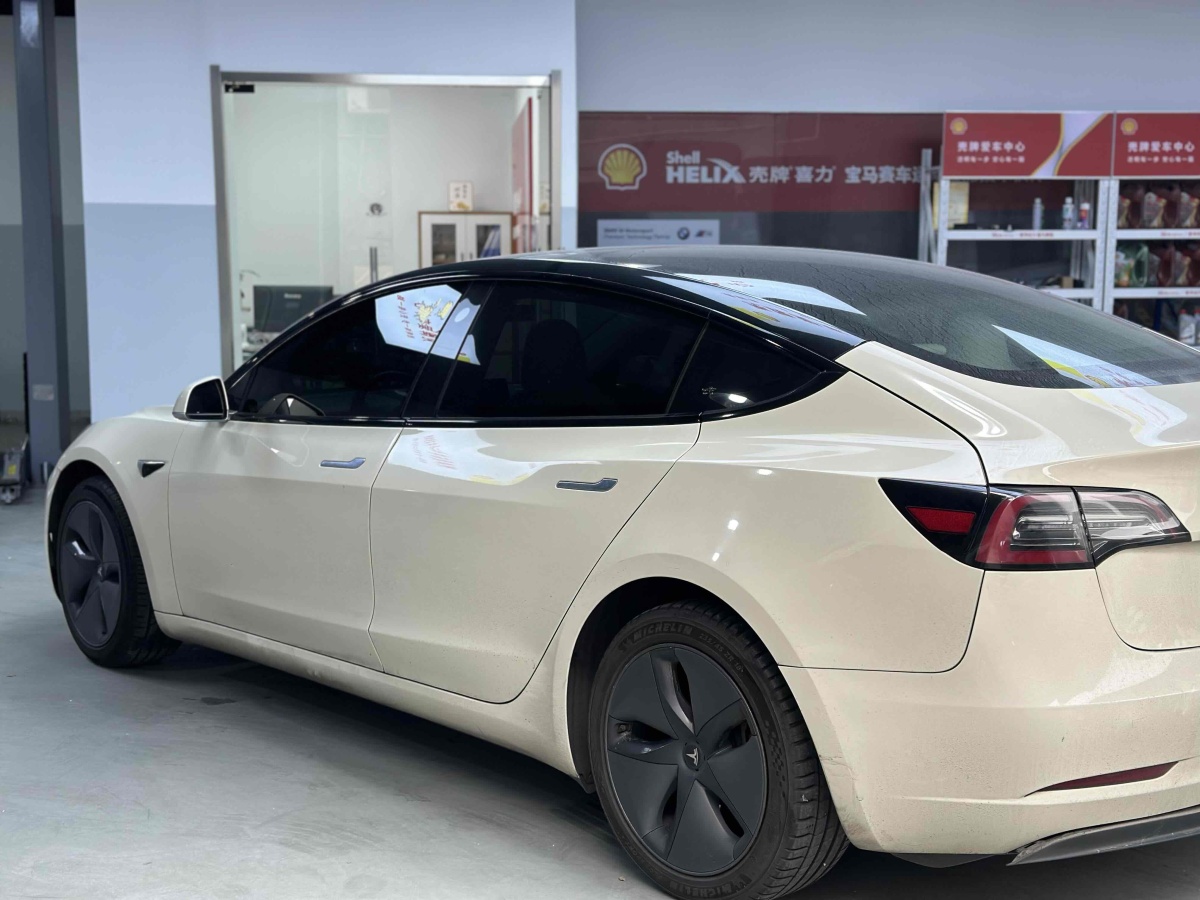 特斯拉 Model 3  2020款 改款 標(biāo)準(zhǔn)續(xù)航后驅(qū)升級(jí)版圖片