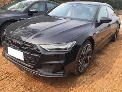 2024年9月 奧迪 奧迪A7L 45 TFSI quattro S-line 黑武士版圖片