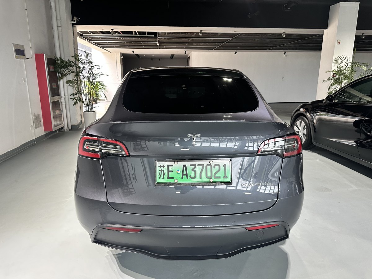 特斯拉 Model Y  2020款 改款 長續(xù)航后輪驅動版圖片