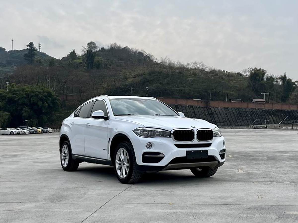 寶馬 寶馬X6  2017款 xDrive35i 領(lǐng)先型圖片