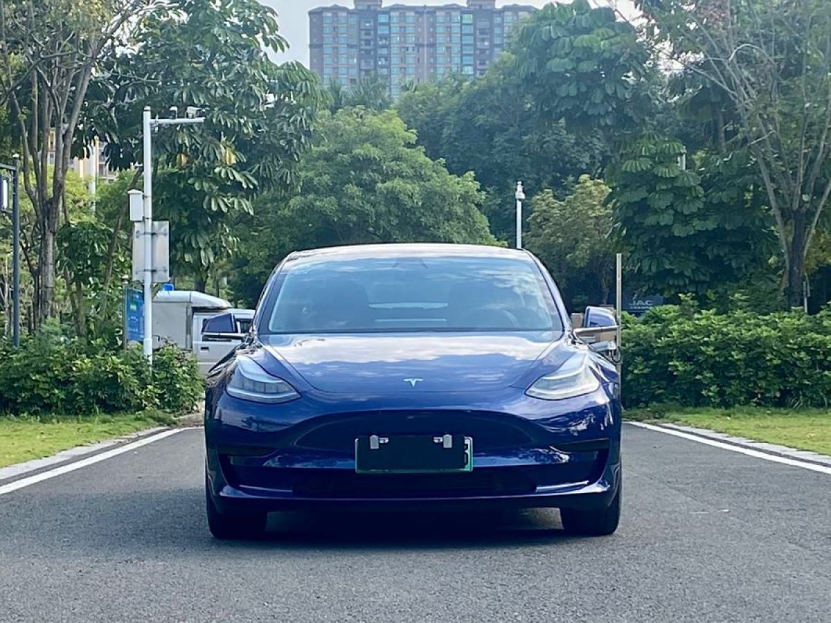 特斯拉 Model Y  2020款 改款 標(biāo)準(zhǔn)續(xù)航后驅(qū)升級(jí)版圖片