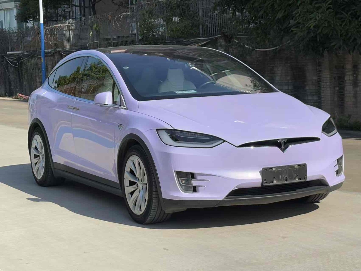 特斯拉 Model X  2017款 Model X 100D 長續(xù)航版圖片