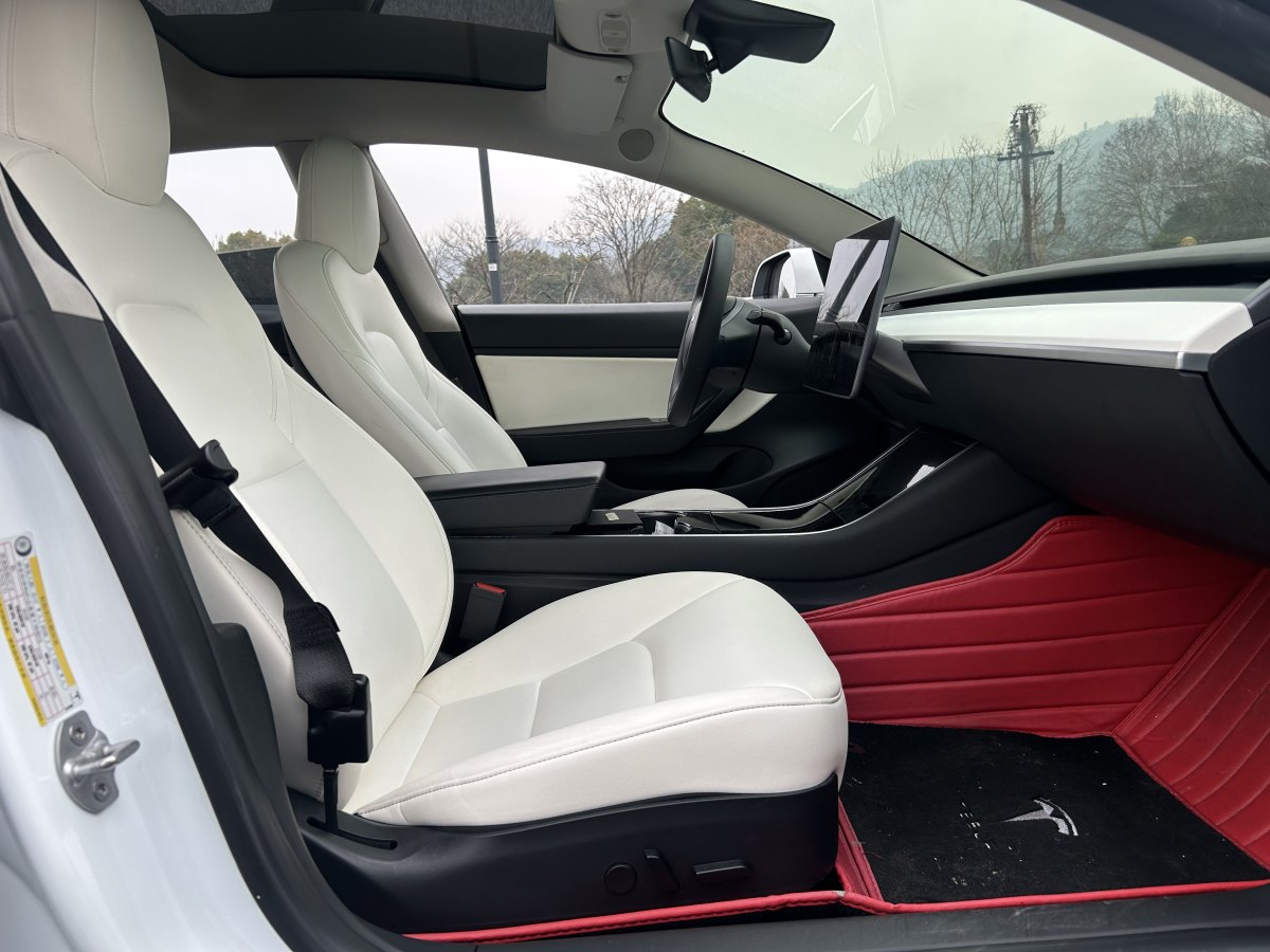 特斯拉 Model 3  2019款 標準續(xù)航后驅(qū)升級版圖片