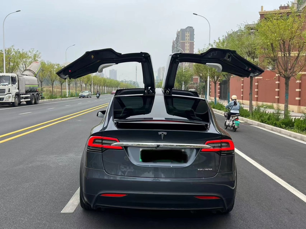 特斯拉 Model X  2020款 長續(xù)航升級版圖片