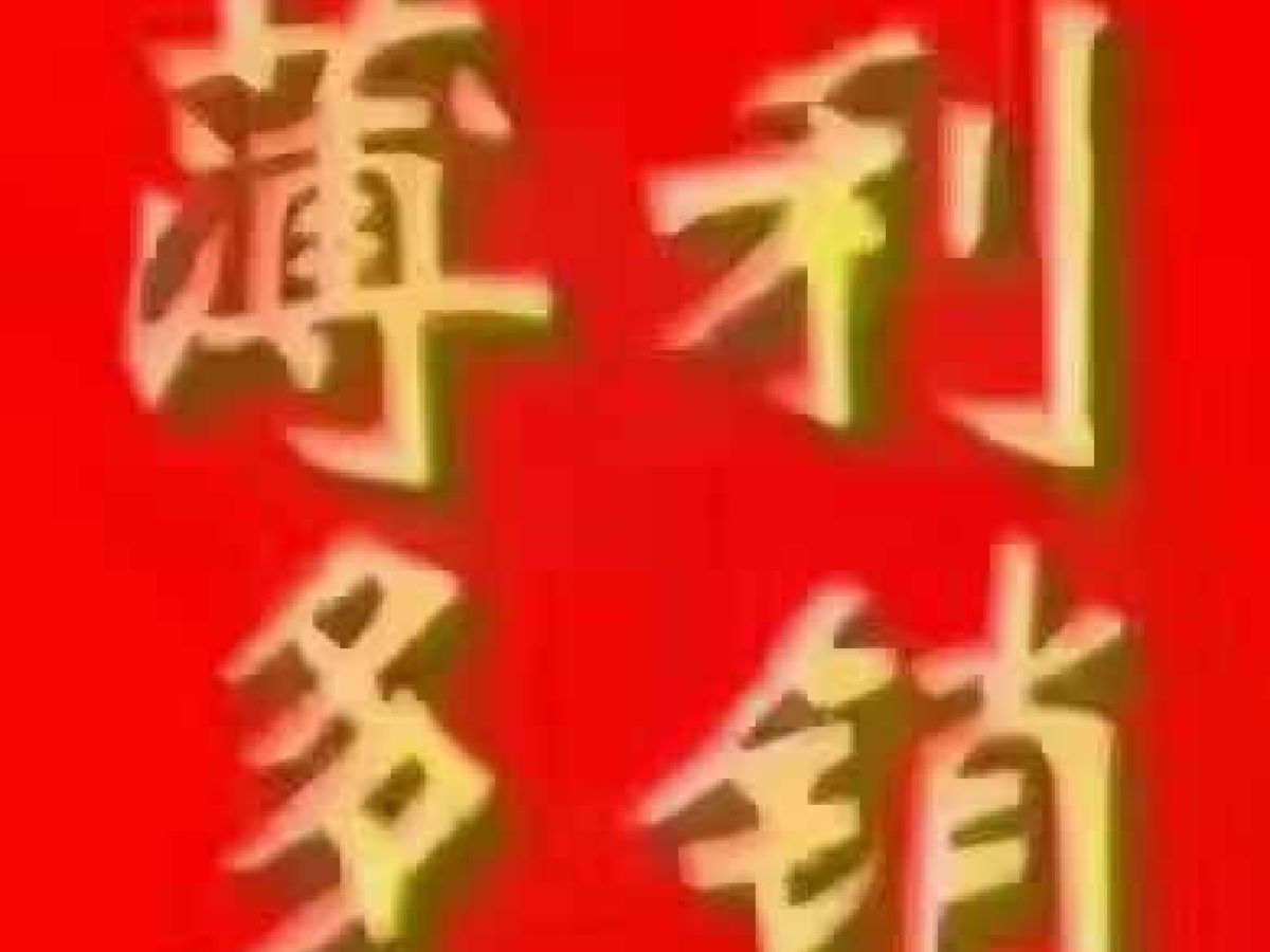 五菱 五菱揚光  2024款 230km 實用型圖片