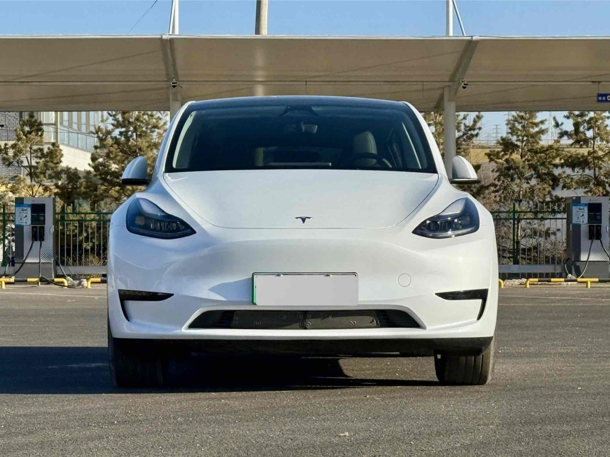 特斯拉 Model 3  2020款 改款 長(zhǎng)續(xù)航后輪驅(qū)動(dòng)版圖片