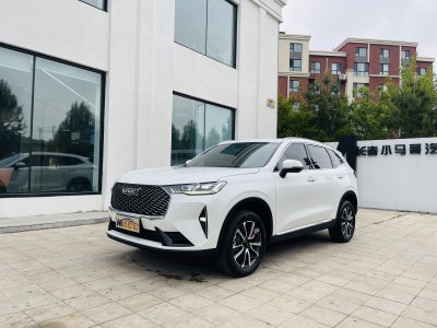 2022年6月 哈弗 H6 第三代 1.5T Max圖片