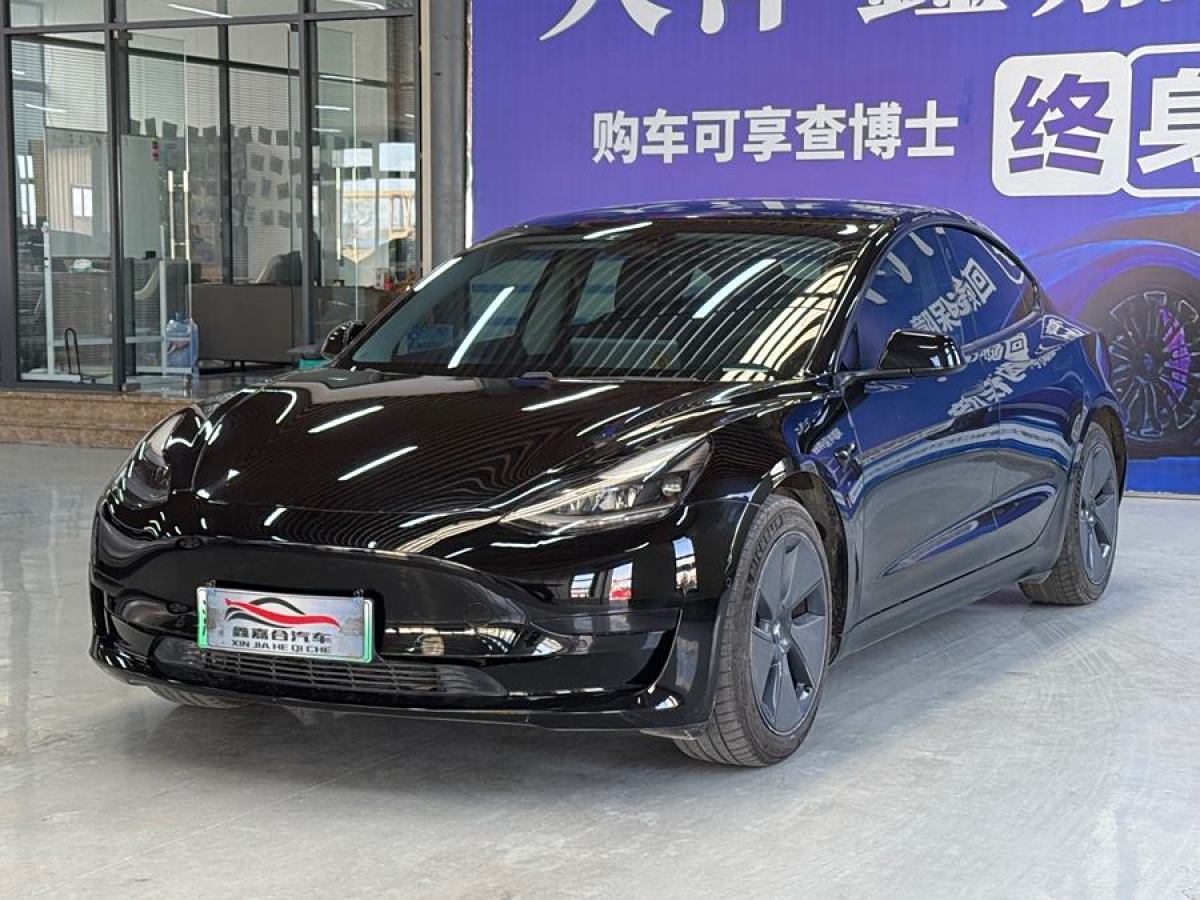 2021年1月特斯拉 Model 3  2021款 改款 標(biāo)準(zhǔn)續(xù)航后驅(qū)升級版