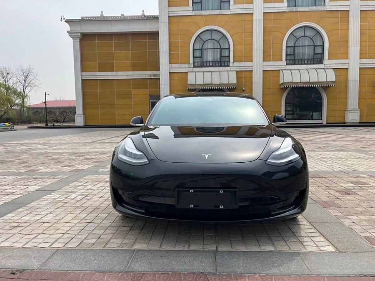 特斯拉 Model 3  2021款 改款 標(biāo)準(zhǔn)續(xù)航后驅(qū)升級(jí)版圖片