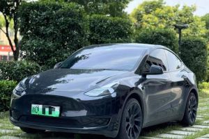 Model Y 特斯拉 Performance高性能全輪驅(qū)動(dòng)版