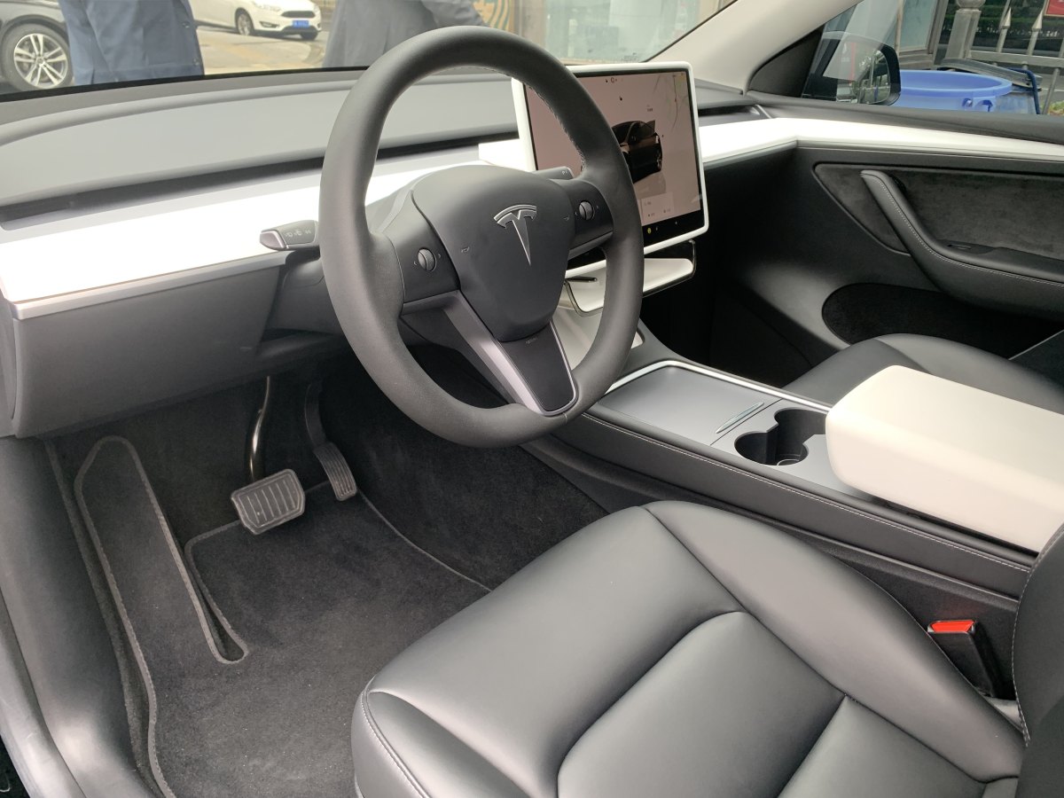 特斯拉 Model Y  2021款 改款 Performance高性能全輪驅(qū)動版圖片