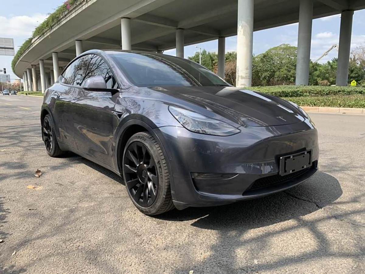 2021年3月特斯拉 Model Y  2021款 改款 長(zhǎng)續(xù)航全輪驅(qū)動(dòng)版