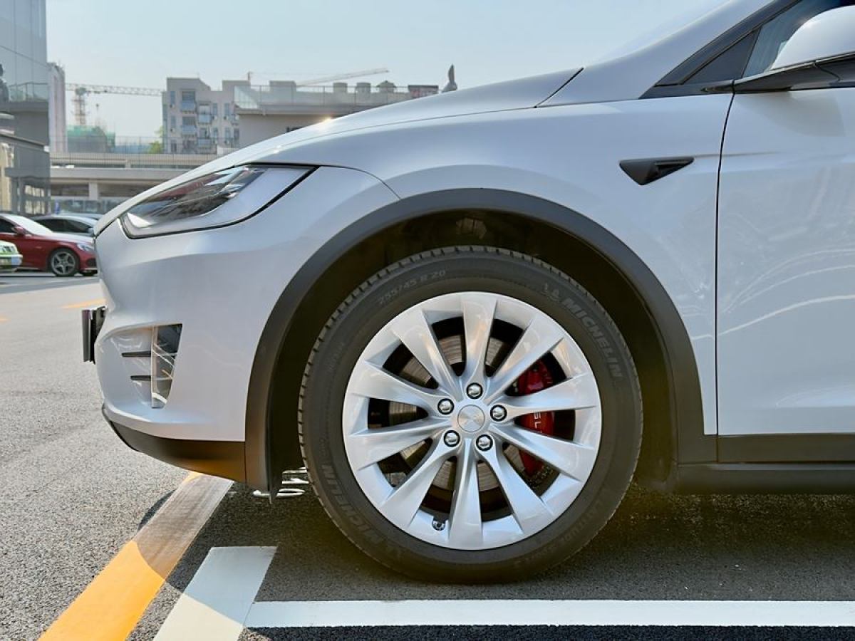 特斯拉 Model X  2019款 長(zhǎng)續(xù)航版圖片