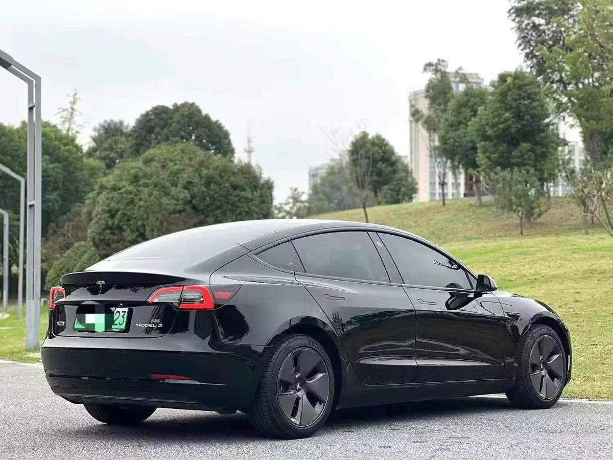 特斯拉 Model S  2023款 三電機(jī)全輪驅(qū)動(dòng) Plaid版圖片