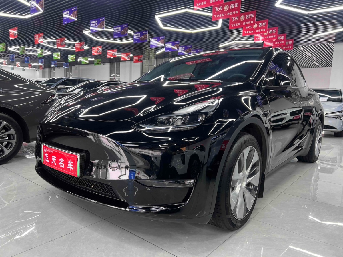 特斯拉 Model 3  2022款 长续航全轮驱动版图片