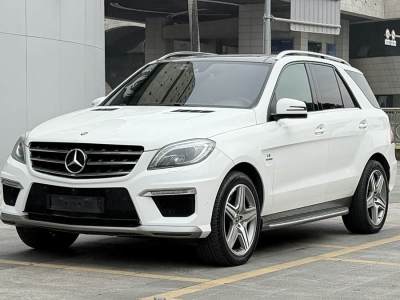 2015年7月 奔馳 奔馳M級AMG AMG ML 63圖片