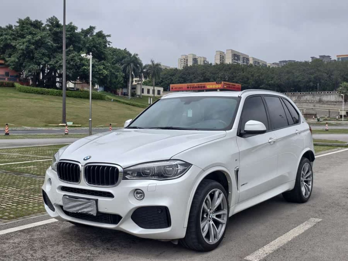 寶馬 寶馬X5  2017款 xDrive35i M豪華運(yùn)動型圖片