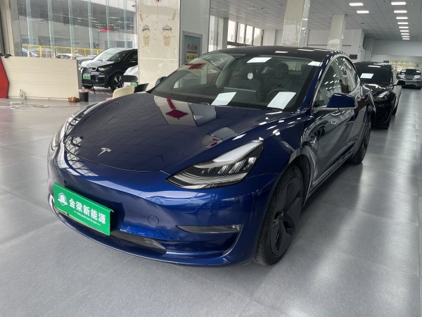 特斯拉 Model 3  2019款 长续航后驱版