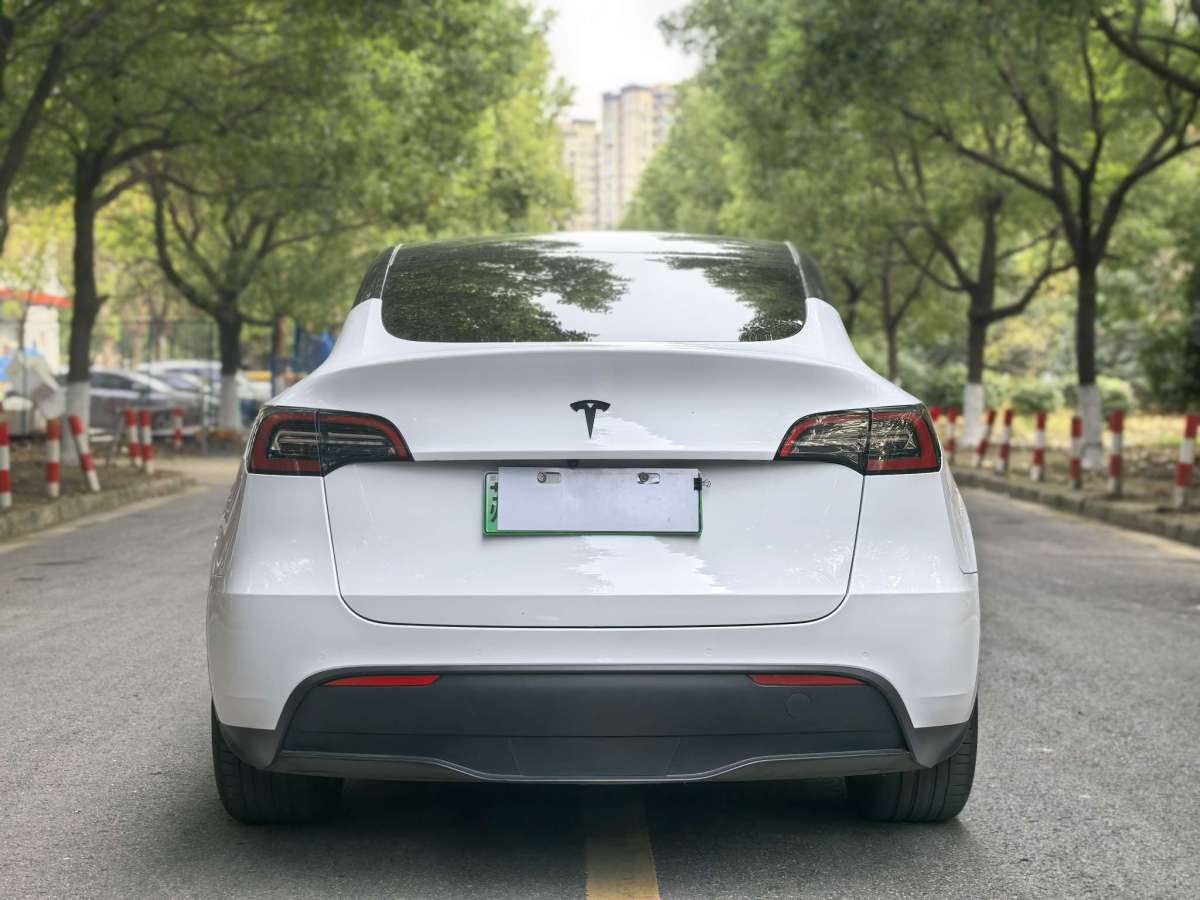 特斯拉 Model Y  2021款 標(biāo)準(zhǔn)續(xù)航后驅(qū)版圖片