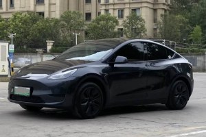Model Y 特斯拉 后輪驅動版