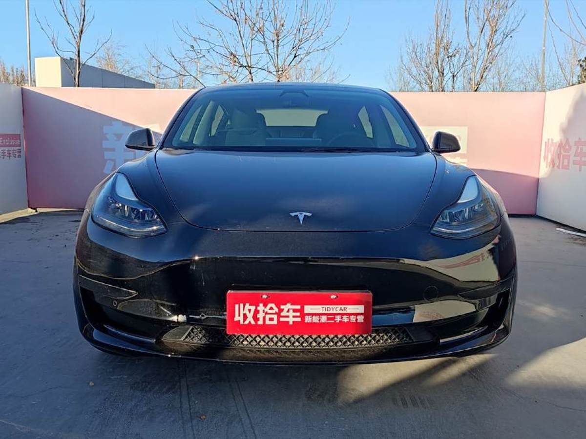 特斯拉 Model 3  2021款 標(biāo)準(zhǔn)續(xù)航后驅(qū)升級(jí)版 3D6圖片