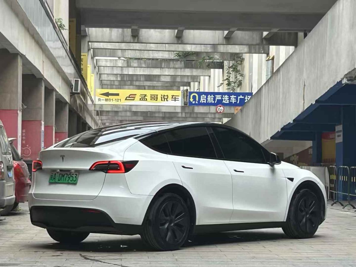 特斯拉 Model Y  2024款 Performance高性能版圖片