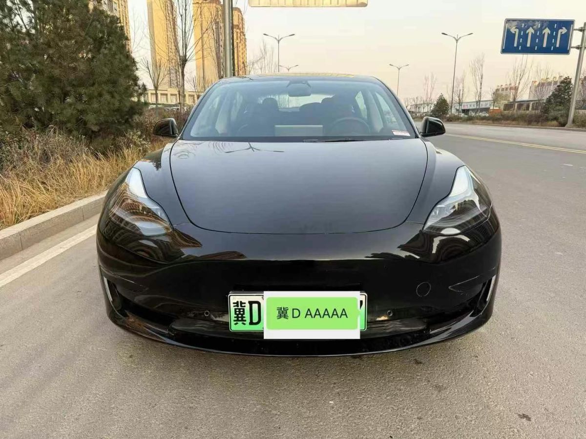 特斯拉 Model 3  2022款 Performance高性能全輪驅(qū)動版圖片