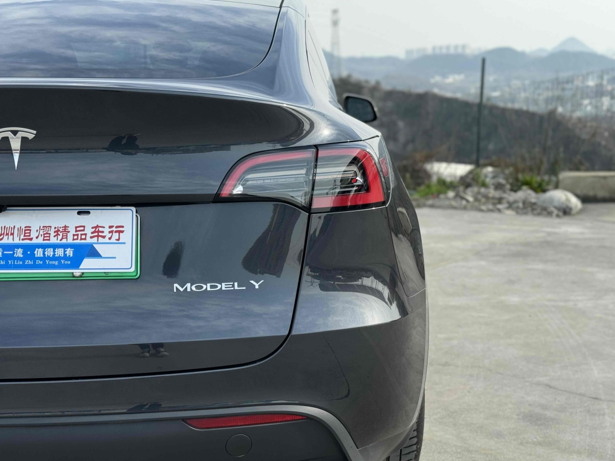 特斯拉 Model Y  2024款 后輪驅(qū)動(dòng)版圖片