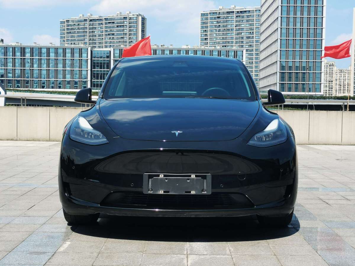 特斯拉 Model Y  2021款 標準續(xù)航后驅升級版 3D6圖片