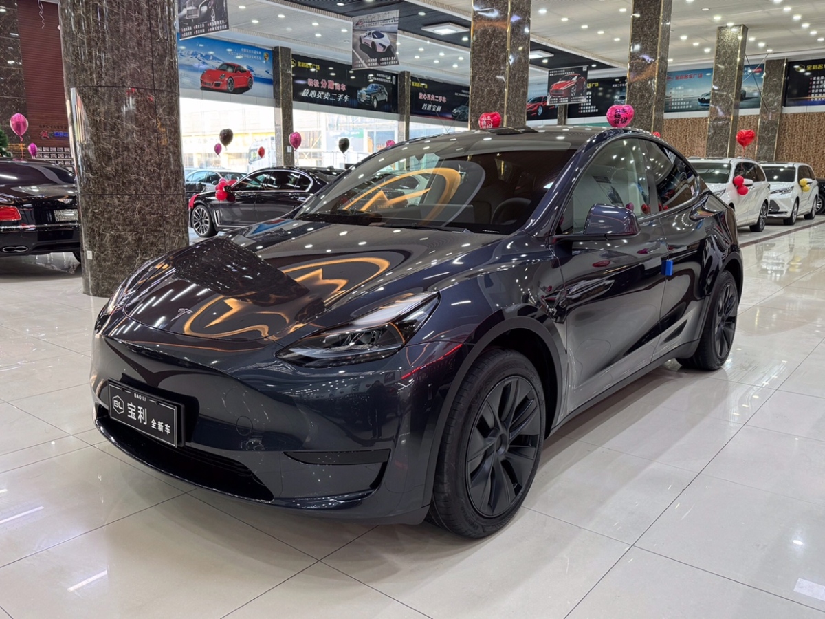 特斯拉 Model Y  2024款 后輪驅(qū)動(dòng)版圖片