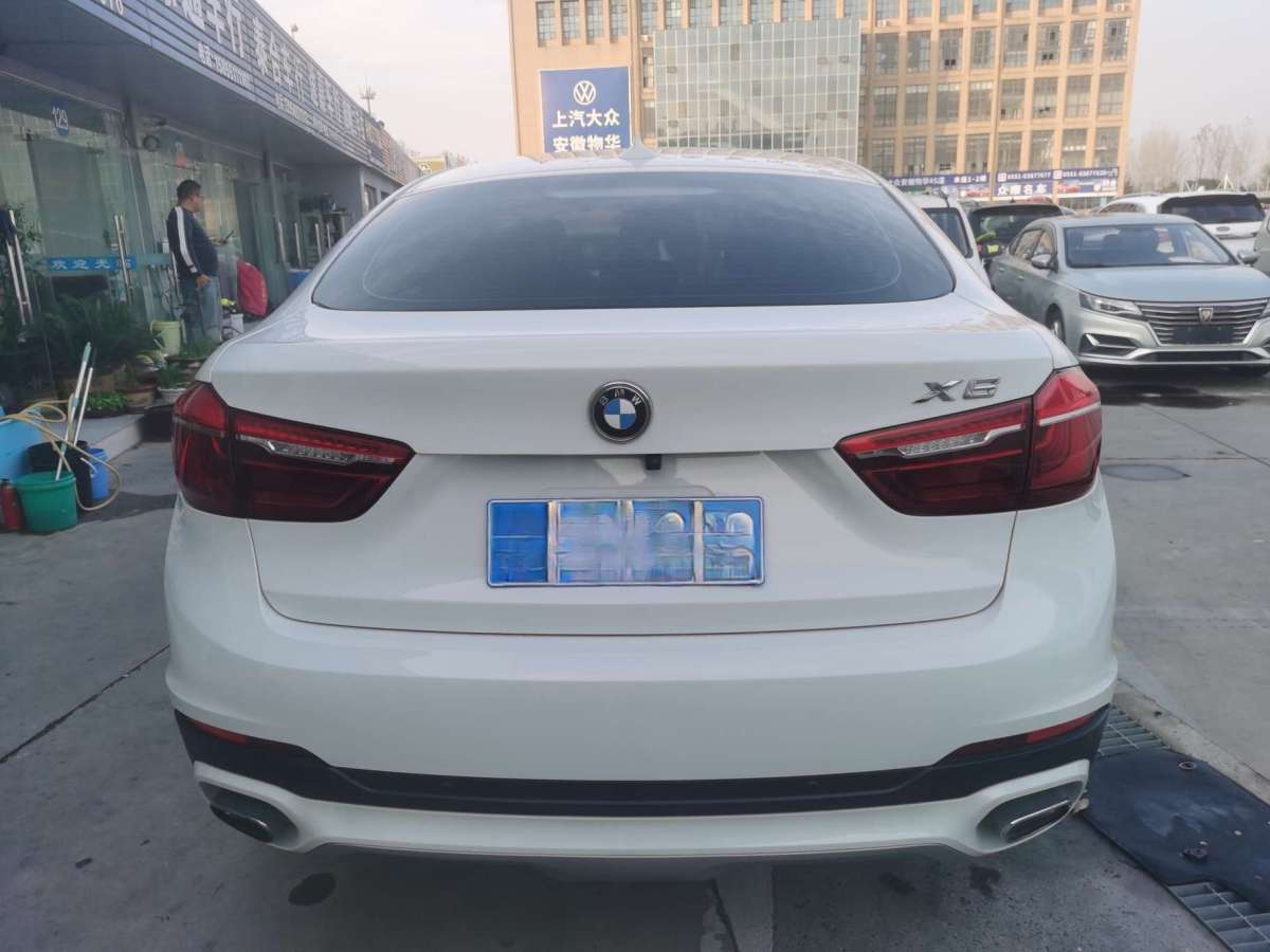 寶馬 寶馬X6  2017款 xDrive35i 領(lǐng)先型圖片