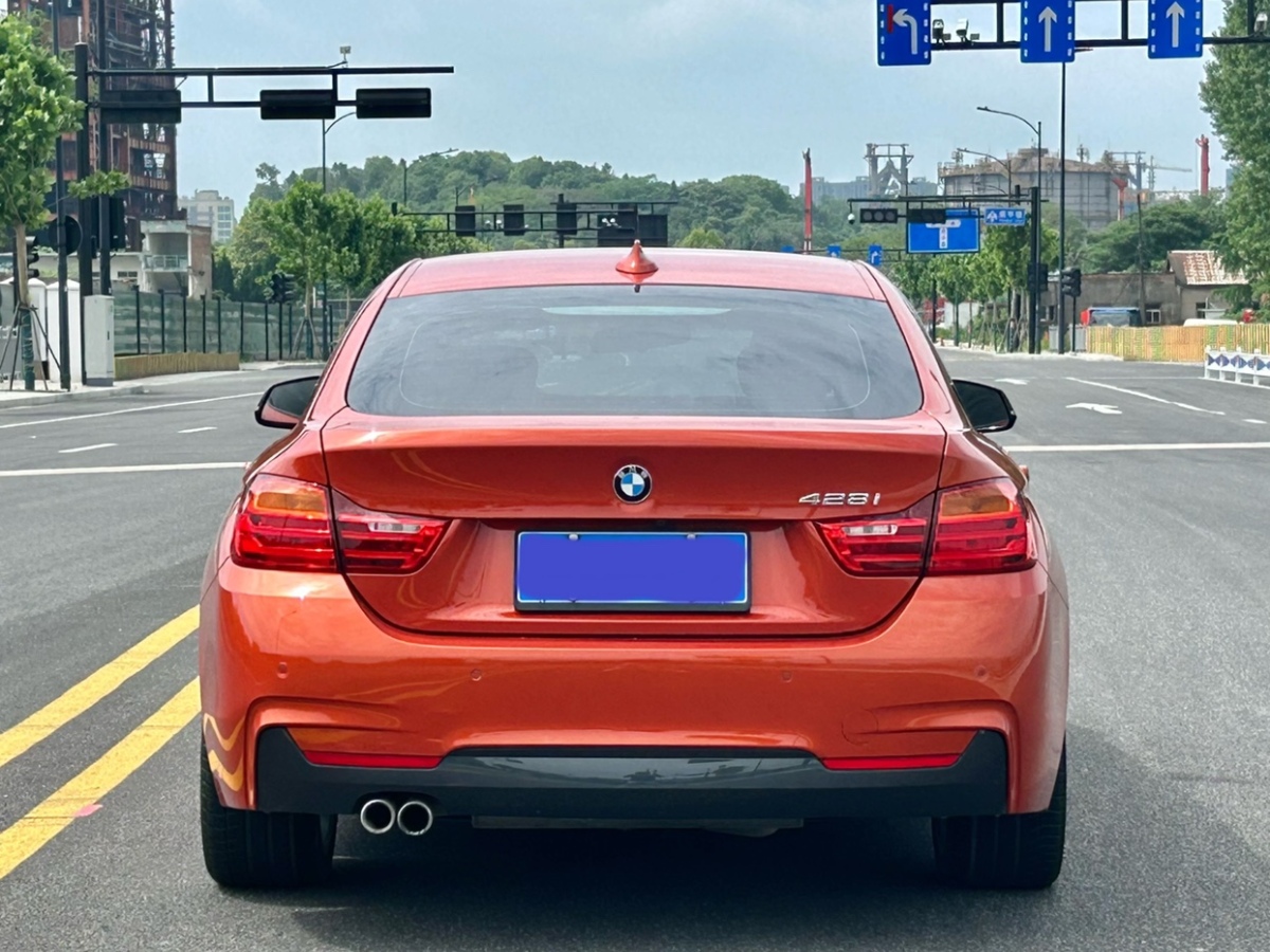 寶馬 寶馬4系  2014款 428i  xDrive Gran Coupe 設(shè)計(jì)套裝型圖片