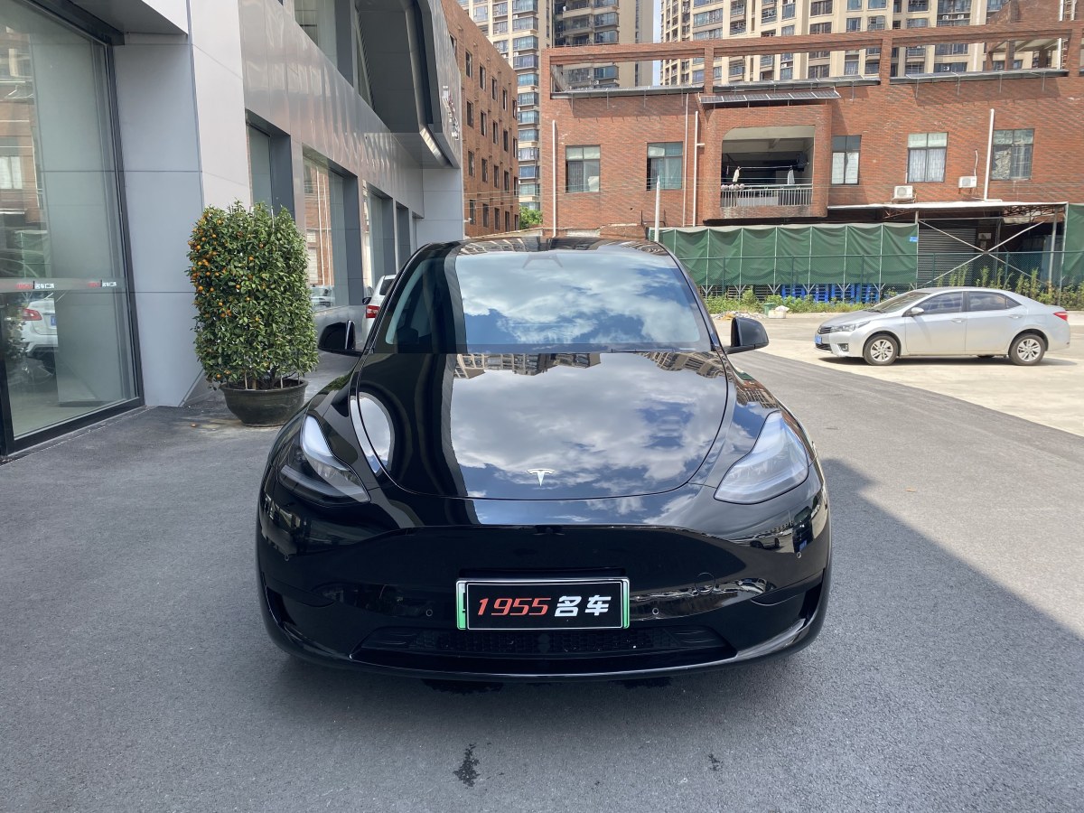 特斯拉 Model Y  2020款 改款 長續(xù)航后輪驅(qū)動版圖片