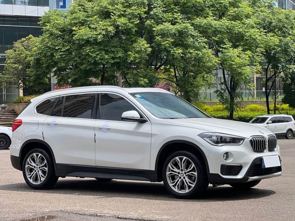 寶馬 寶馬X1  2019款 sDrive20Li 領(lǐng)先型圖片