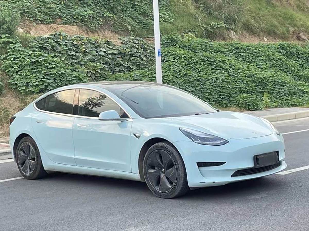 特斯拉 Model Y  2020款 改款 標(biāo)準(zhǔn)續(xù)航后驅(qū)升級(jí)版圖片