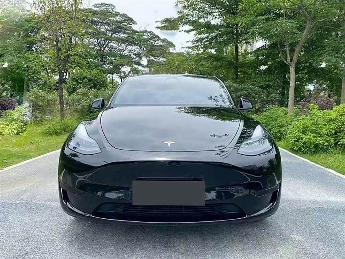 特斯拉 Model 3  2020款 改款 長(zhǎng)續(xù)航后輪驅(qū)動(dòng)版圖片