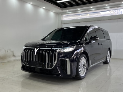 2024年2月 嵐圖 夢(mèng)想家 PHEV 超長續(xù)航尊貴版圖片