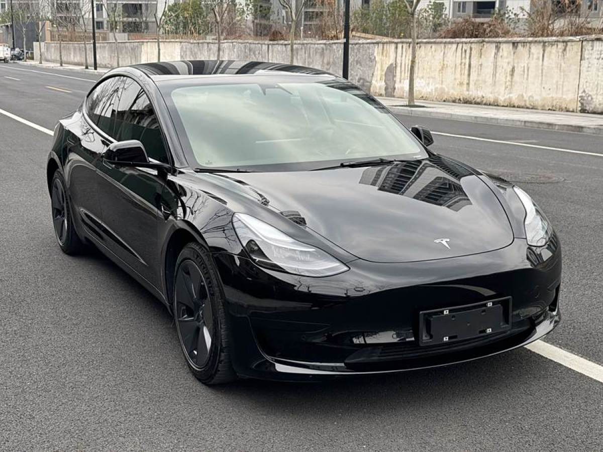 特斯拉 Model 3  2021款 標準續(xù)航后驅升級版 3D6圖片