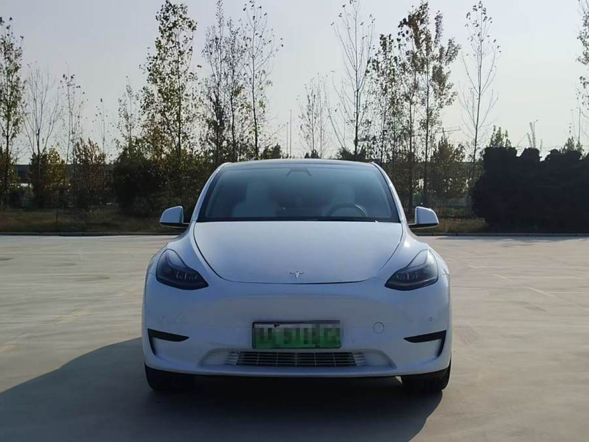 特斯拉 Model 3  2022款 后輪驅(qū)動版圖片